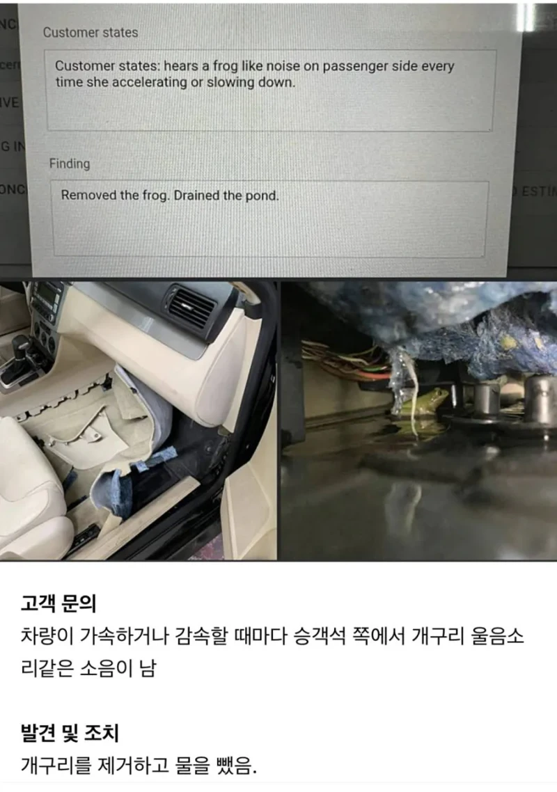 차에서 개구리 소리가 나요...