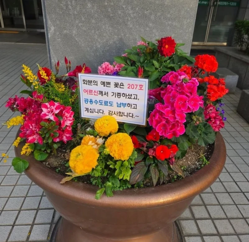 꽃 화분 기증 후 민원 차단까지 하신 어르신