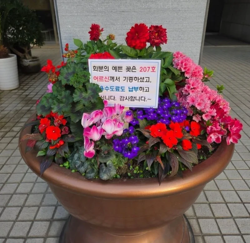 꽃 화분 기증 후 민원 차단까지 하신 어르신-2