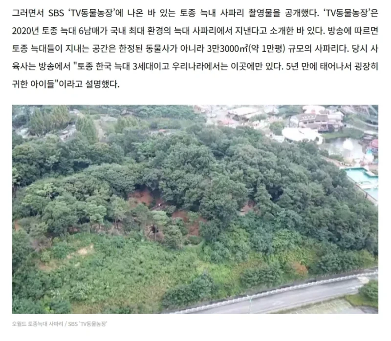 사람들이 늑구에 대해 오해하는 것-2