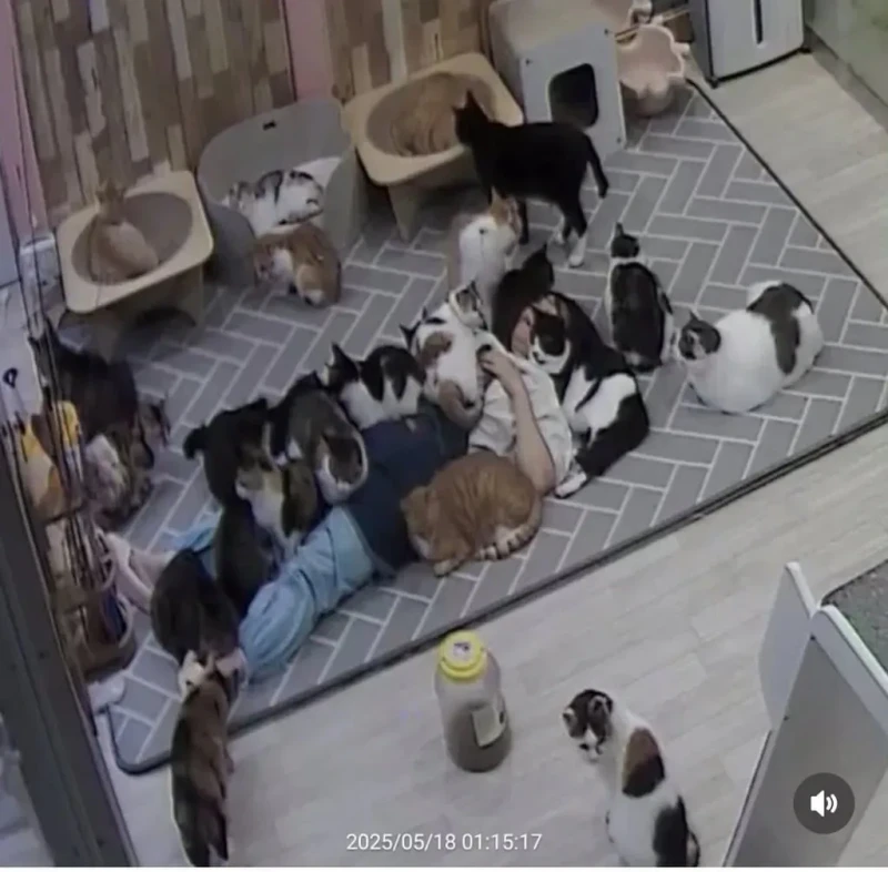 고양이 쉼터에서 무려 6시간 주무신 분 