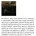 모수 와인 긴빠이 전에 있었던 미슐랭 긴빠이 사건