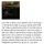 모수 와인 긴빠이 전에 있었던 미슐랭 긴빠이 사건