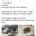 간식에 칼날 테러당한 여자코스어 ㄷㄷ 