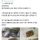 간식에 칼날 테러당한 여자코스어 ㄷㄷ 