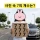 퀴즈) 사진속 7의 갯수는?