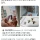 아파트에 무단 침입한 장수말벌의 최후