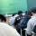수업중에 고려대 과잠 입고온 학생의 최후