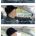 20대 초반 로또 1등 당첨자 20년 후 근황