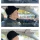 20대 초반 로또 1등 당첨자 20년 후 근황