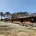 건축도 힙해진 불교 근황
