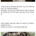 개목걸이에 가시가 달린 이유