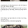 개목걸이에 가시가 달린 이유