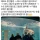손님 없어서 우울증 걸린 개복치