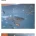 5일간 전세계 1위급이었던 한국 수족관