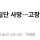 사하라 사막서 49명 집단 사망