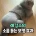 레깅스 입은 여자몸매를 믿으면 안 되는 이유