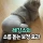 레깅스 입은 여자몸매를 믿으면 안 되는 이유