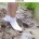 불편함을 사진으로 표현함