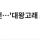 중단되었던 대왕고래 최신 근황 