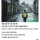 9살에 버림받은 후 2년동안 혼자 버틴 프랑스 소년
