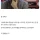 한가지 전술만 고집하는 이유