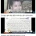 이집트에서 4살짜리한테 종신형을 선고한 이유