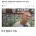 ...&#034;브라질? 예전만 못하잖아. 네이마르도 마찬가지”