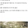 왜 민물고기 회는 안 되는데 바닷고기는 괜찮을까?