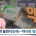 '편의점 상비약' 20종으로 늘린다는데 약사회 오남용 우려 반발