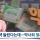 '편의점 상비약' 20종으로 늘린다는데 약사회 오남용 우려 반발