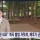 [단독] &#034;8만원내라&#034;계곡 불법 자릿세, 배후가 군청