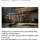 시골집에 오히려 바퀴벌레가 없는 이유