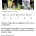 해외에서 다시 주목받고있는 한국 대표팀 박종우 징계 사례