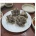 58,000원 어치 꼬리찜먹고 빡침