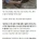 조선시대 사람들의 치아 상태