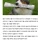미국 흑인들이 자기들만의 사회를 만들었을때 일어났던 일