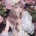 일본 애 둘 48세 유부 코스어