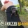 최근 전국적으로 갑자기 대거 출몰하고 있는 곤충