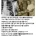 노벨 수상자 중 최고의 돌아이