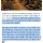 유럽 근황: 폭염으로 인해 경제손실 295조원 발생...성장률 1% 날아갈 수도