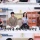 하영 증조부 친일 ‘사실무근?’···역사학계 “친일 맞다”