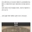 안상호가 '내선일체'의 좋은 모범이라는 이유