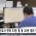 간호사 면허 53만 명 중 20만 명은 현장 이탈