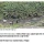 장미란 경찰의 수상한 점