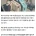 박수홍 비행기 탑승 번복과 입장문