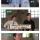 코로나 덕분에 거의 없어졌다는 이상한 술문화.jpg