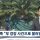제주 부경장 허위종결 사건 근황