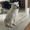 냄새나는용민