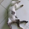짠이야